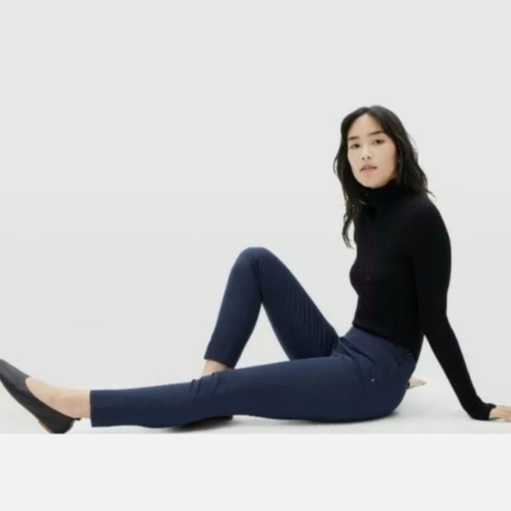 Everlane The Side-Zip Stretch Cotton Pant in Blue Size 4